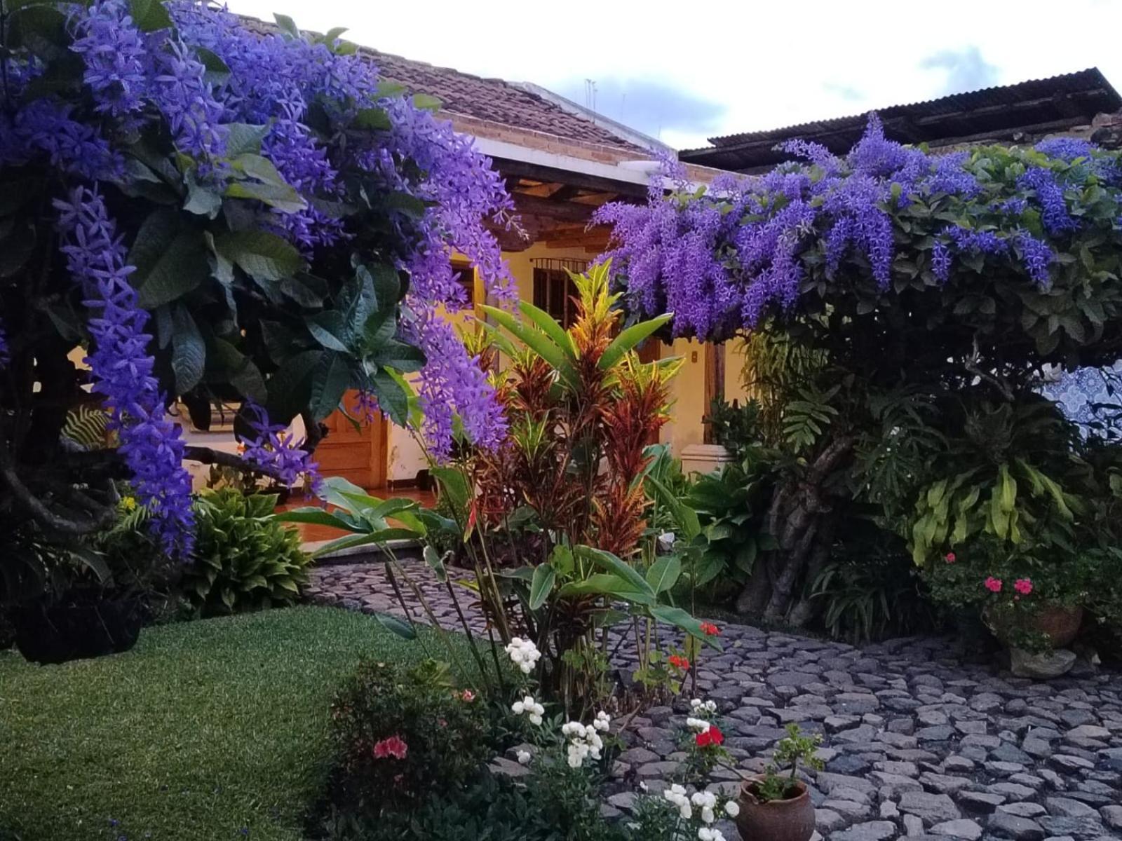 Hostal San Nicolas Antigua Exterior foto